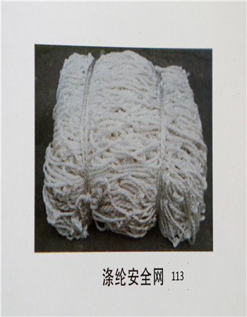 涤纶安全网113